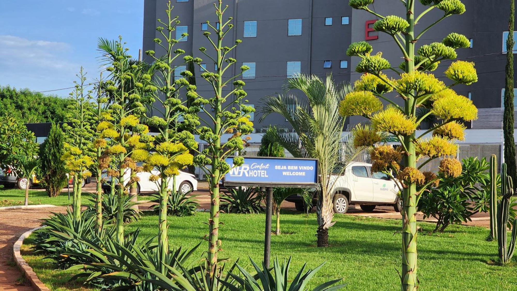 Wr Confort Hotel Campo Grande Exteriér fotografie
